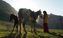 مستند «رویای یک اسب» در پنج جشنواره فیلم معتبر جهان