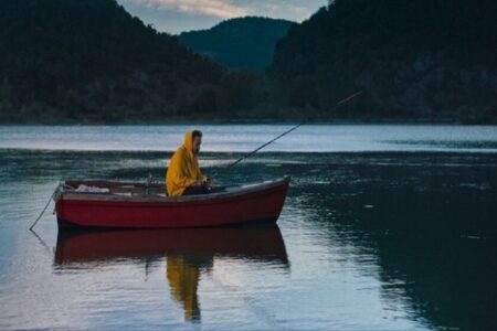 «درخت خاموش» روی پرده سینما‌های کشور