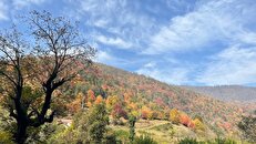 سینمای مستند نمایش دهنده ایران امروز است