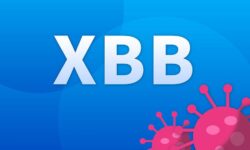 از واریانت جدید XBB.1.5 چه می‌دانیم؟ / «هم ایمنی‌گریزتر است و هم در انتشار شدیدتر عمل می‌کند»