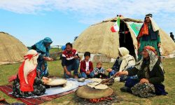 ۲ میلیون و ۶۳۵ هزار زن روستایی رایگان بیمه اجتماعی می شوند